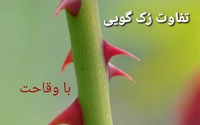 تفاوت رکگویی با وقاحت